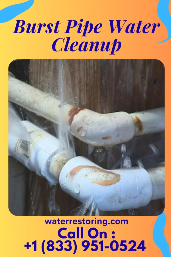 Burst Pipe Water Cleanup in Felton, PA