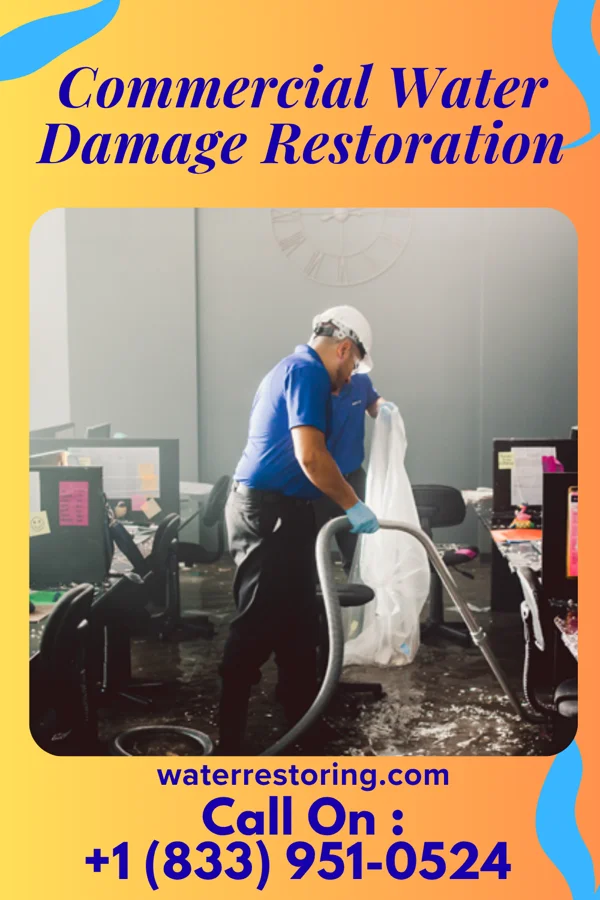 Commercial Water Damage Restoration in Felton, PA