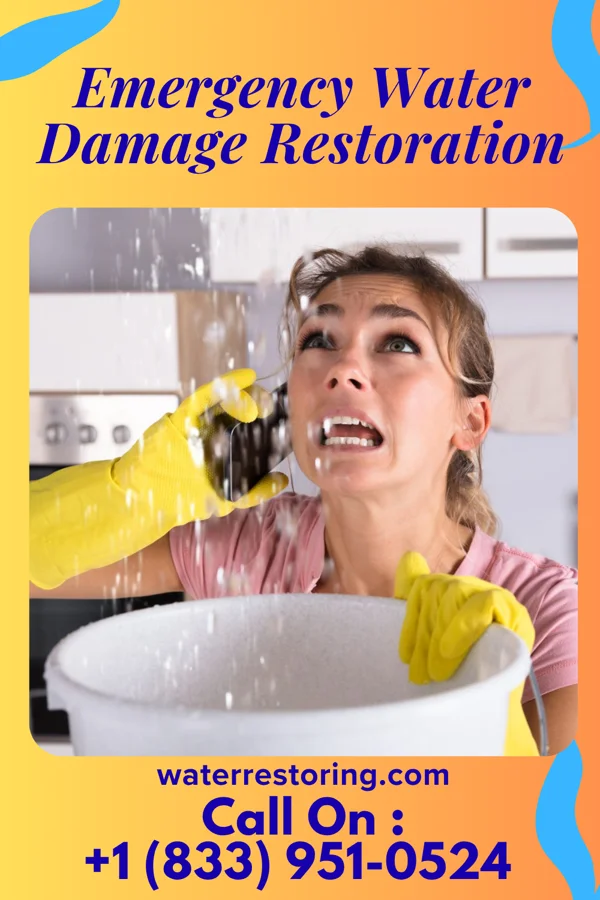 Emergency Water Damage Restoration in Felton, PA