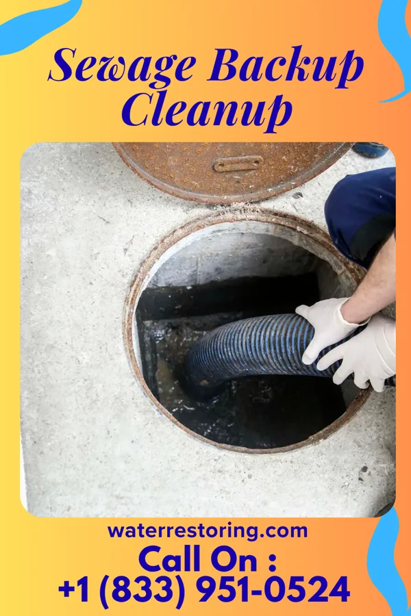Sewage Backup Cleanup in Felton, PA